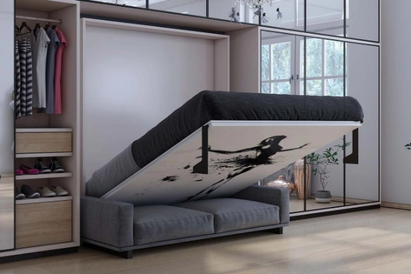 A murphy Bed that doubles  as a Sofa when not is use
